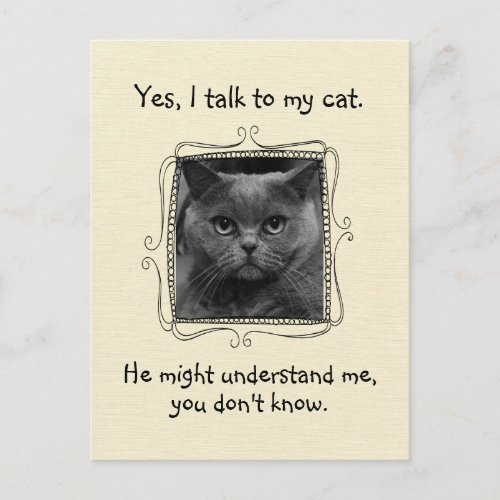 I Talk to My Cat  Funny Custom Postcard