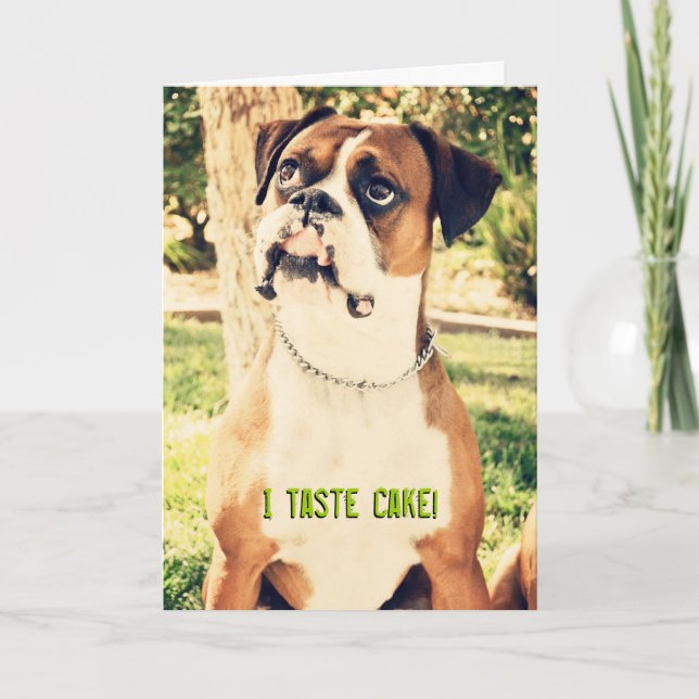 I Taste Cake! Boxer Birthday Card (Front)