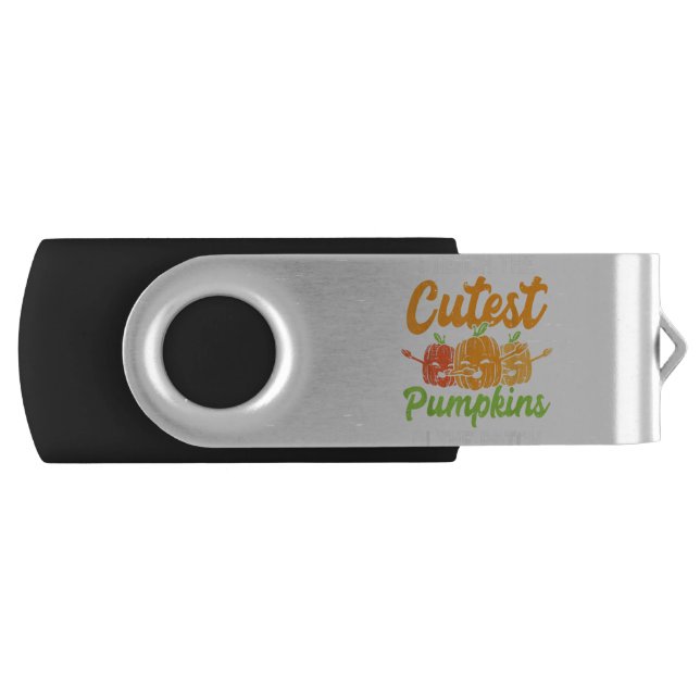 I Teach The Cutest Pumpkins In The Patch Teacher H Flash Drive (Front)