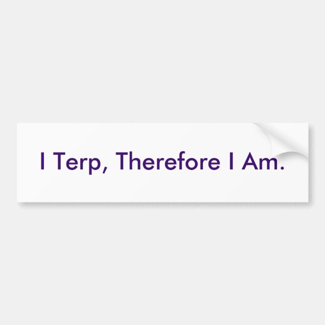I Terp, Therefore I Am. Bumper Sticker (Front)