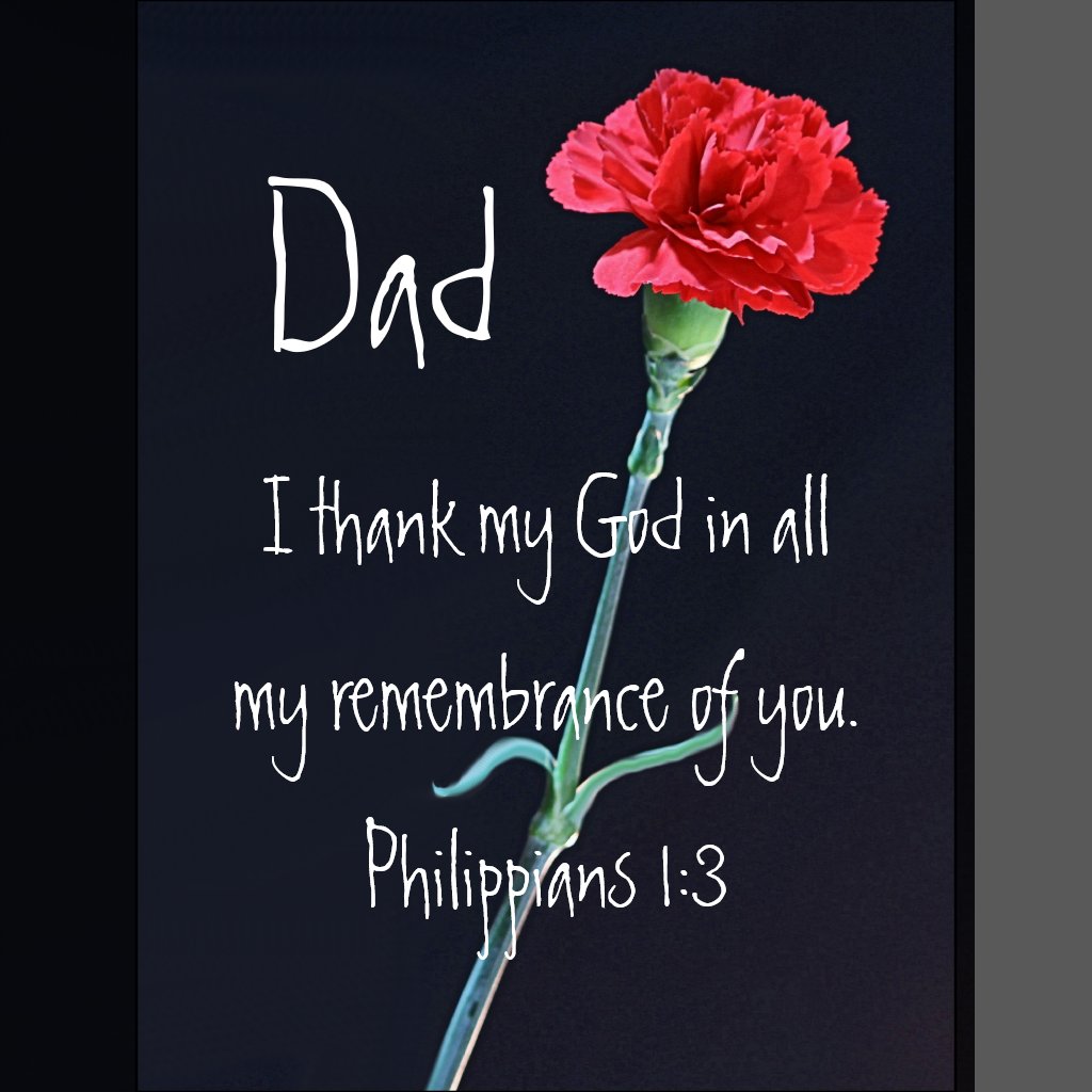 i thank my god bible verse for dad red carnation poster r3f7ff3bea3664a4190e858563d31e591 i19wl 8byvr 1024