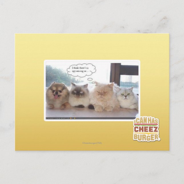 I think there's a spy among us postcard (Front)