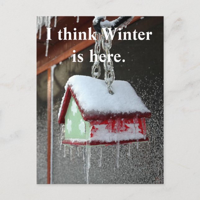 I think Winter is here. Postcard (Front)