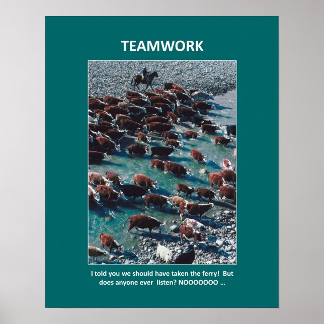 i-told-you-we-should-have-taken-the-ferry poster (Front)