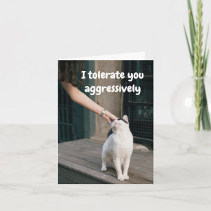 I Tolerate You Funny From the Cat Card