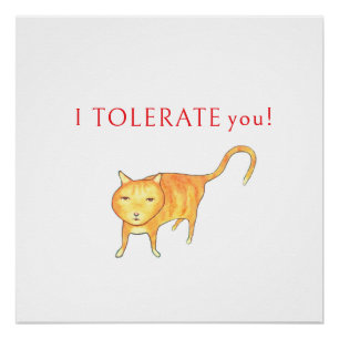 I Tolerate You Moody Orange Kitty Cat Humor Poster
