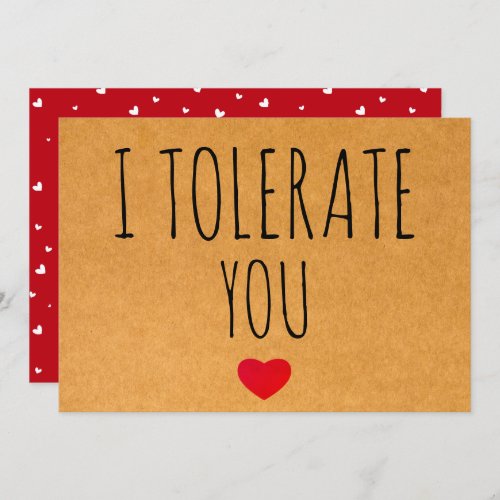 I Tolerate You Sarcastic Vday Valentines day Holiday Card