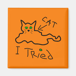 I Tried Cat Magnet