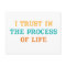 I Trust in the process of life Affirmation
