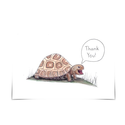 I Turtley Appreciate It Turtle Thank You Card