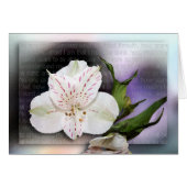 I Understand (Front Horizontal)