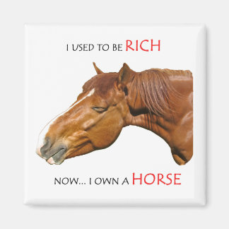 I used to be rich magnet