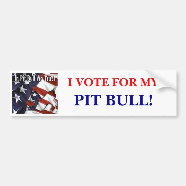 I VOTE FOR MY , PIT BULL! Bumper Sticker (Front)