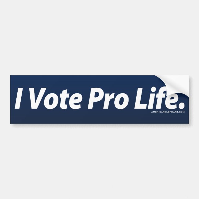 I Vote Pro Life Bumper Sticker (Front)