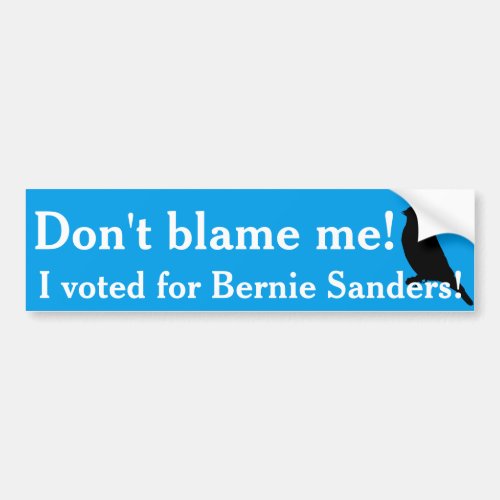 I voted for Bernie Bumper Sticker