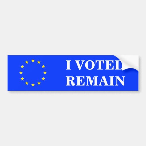 I VOTED REMAIN BUMPER STICKER