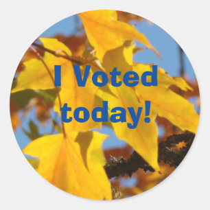 I Voted today! stickers Voting custom stickers