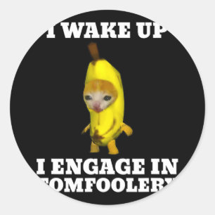 I Wake Up I Engage In Tomfoolery Cat Meme Classic Round Sticker