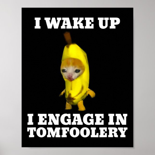 I Wake Up I Engage In Tomfoolery Cat Meme  Poster (Front)