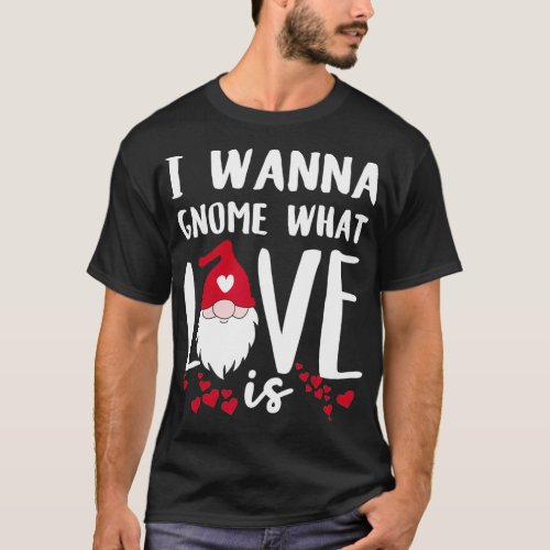 I Wanna Gnome What Love Is Funny Valentines Day Sa T_Shirt