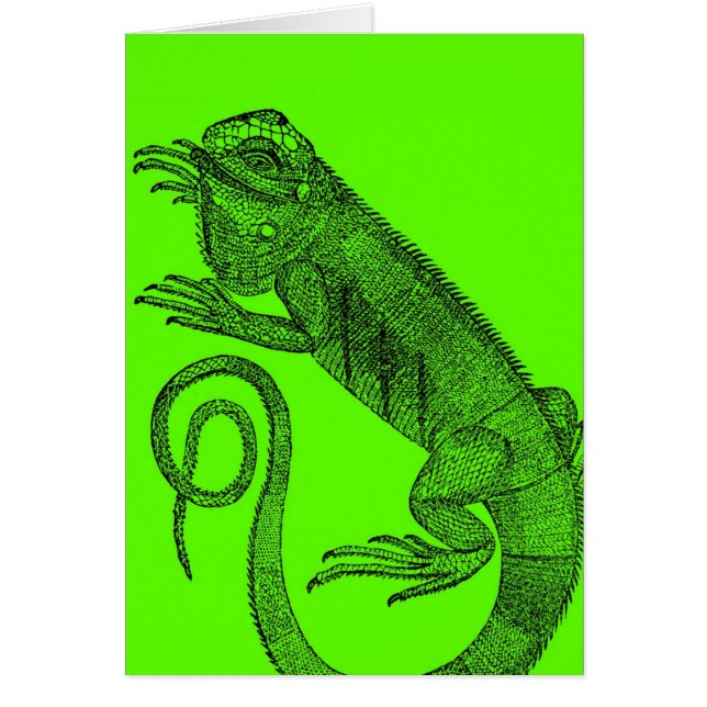 I Wanna Iguana Cards (Front)