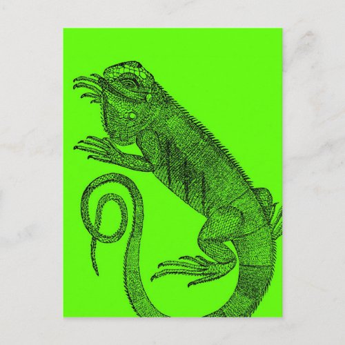I Wanna Iguana Postcard