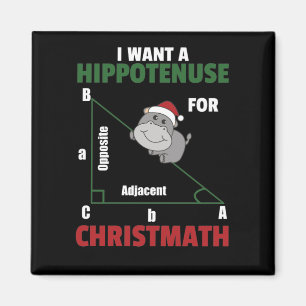I Want A Hippo For Christmas Cute Hippos Magnet