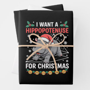 I Want A Hippopotenuse For Christmas Math Teacher Wrapping Paper Sheets