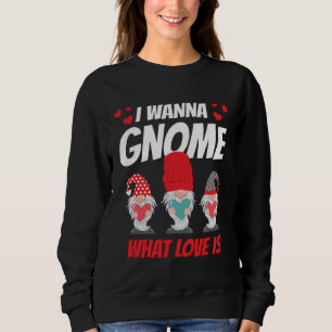I Want Gnome What Love Is Valentine Humor His and  Sweatshirt