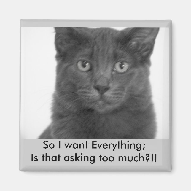 I want it all Magnet (Front)