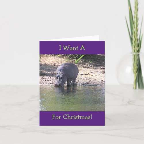 I WANT PHOTO OF HIPPO FOR CHRISTMAS HOLIDAY CARD