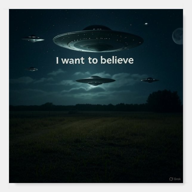 I want to believe foam board (Front)