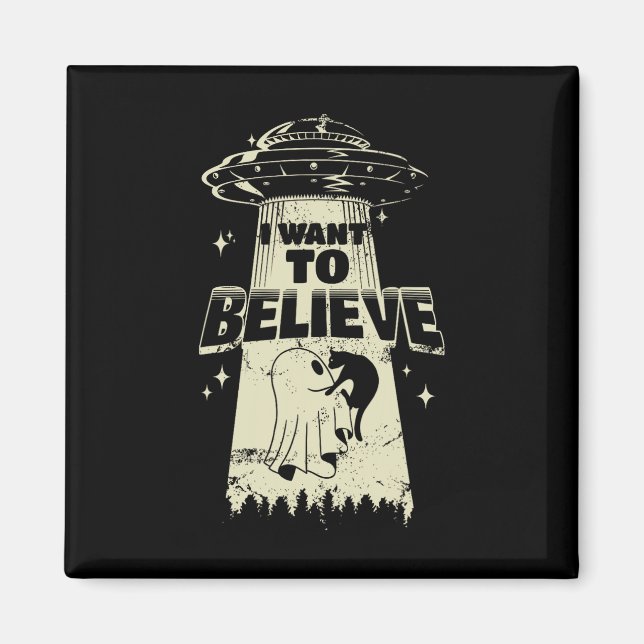 I Want To Believe - Funny Cat Is Kidnapped  Magnet (Front)