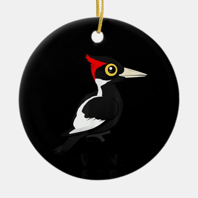 I Want To Believe Ivory-billed Woodpecker Birdorab Ceramic Ornament (Front)