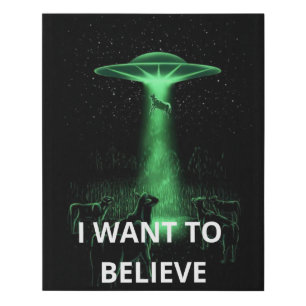 I Want To Believe, Movie Retro 90s, Alien UFO Faux Canvas Print