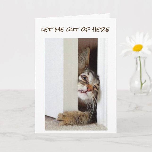 I WANT TO SAY **HAPPY 11th BIRTHDAY** to "YOU"  Card (Small Plant)