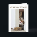 I WANT TO SAY **HAPPY BIRTHDAY** TO "YOU" NOW!!!!! CARD<br><div class="desc">FUNNY AND SO CUTE. I LOVE THIS CARD AND MADE IT FOR ALL MY STORES (ALL 8) AND IN DIFFERENT WAYS. THANKS FOR STOPPING BY TODAY!!!</div>