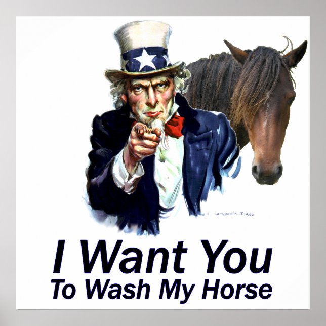 I Want You:  To Wash My Horse Poster (Front)