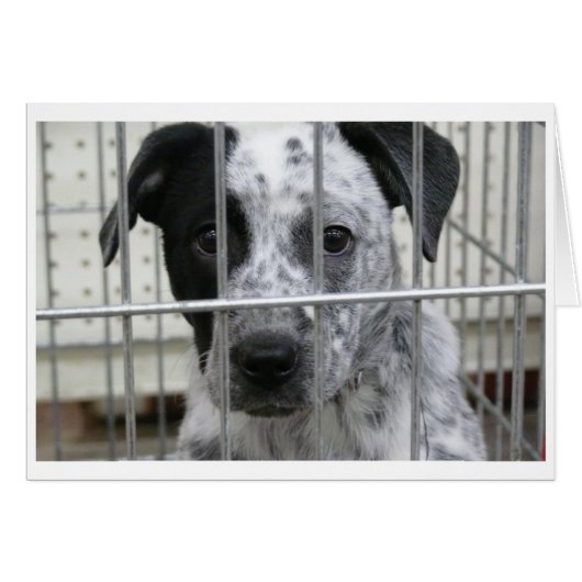 I WAS FRAMED! (Front Horizontal)