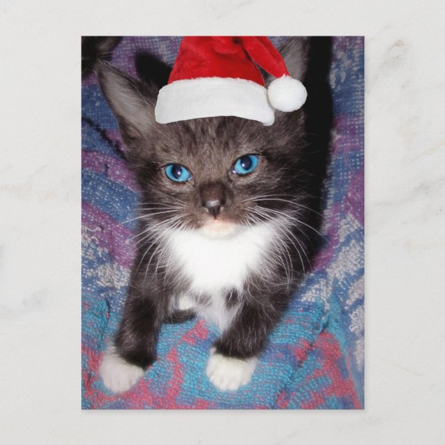 I WAS GOOD THIS YEAR POSTCARD (Front)