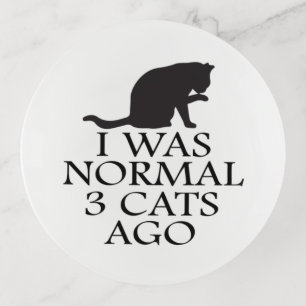 i-was-normal-3-cats-ago--funny-cat trinket tray