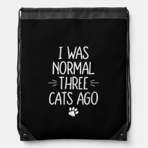 I Was Normal Three Cats Ago Funny Cat Gift Drawstring Bag