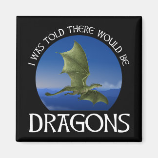 I Was Told There Would Be Dragons Magnet