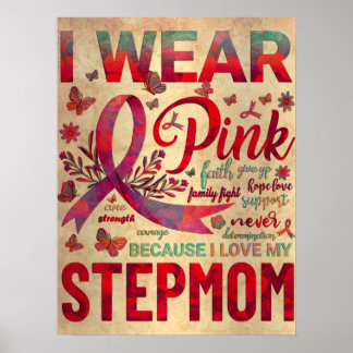 I Wear Pink Because I Love Stepmom Breast Cancer A Poster