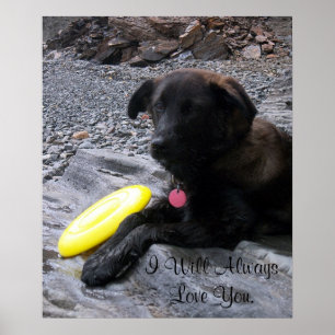 I Will Always Love You Poster