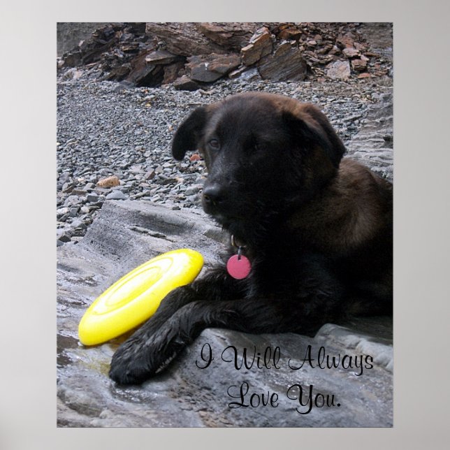 I Will Always Love You Poster (Front)