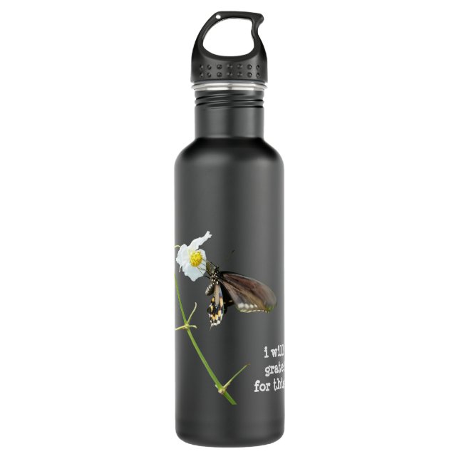 i will be grateful for this day, butterfly stainless steel water bottle (Front)