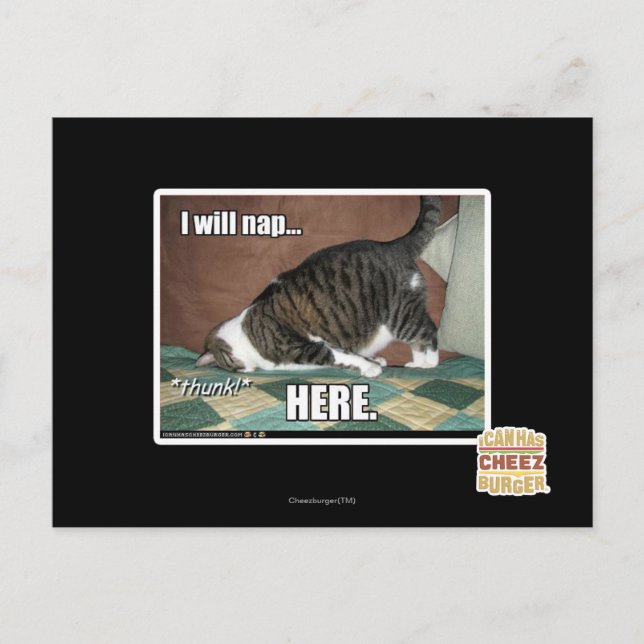 I will nap here postcard (Front)