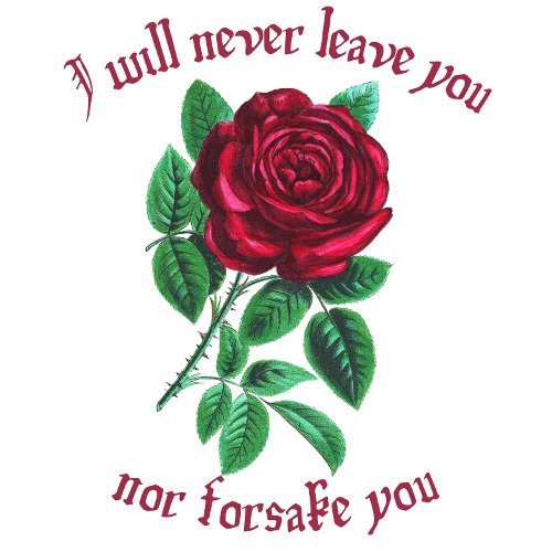 I will never leave you Comfort and Inspiration Apron
