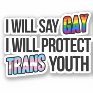 I will say gay and protect trans youth sticker